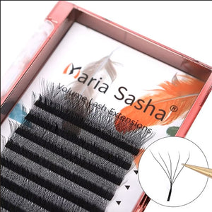 Maria Sasha 4DW-Shape Eyelash Extensions