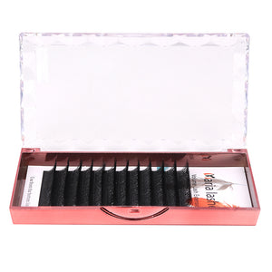 Maria Sasha 4DW-Shape Eyelash Extensions