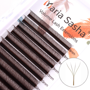 Maria Sasha 4DW-Shape Eyelash Extensions