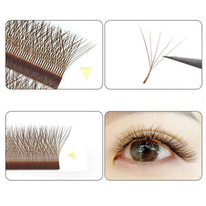 Maria Sasha 5DW M Curl Pre-Made Volume Eyelash Extensions