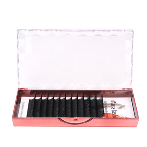 Maria Sasha 5DW M Curl Pre-Made Volume Eyelash Extensions