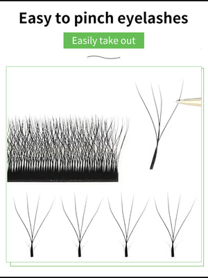 Maria Sasha 4DW-Shape Eyelash Extensions