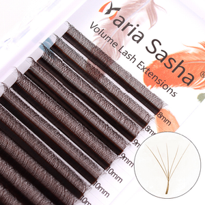 Maria Sasha 5DW M Curl Pre-Made Volume Eyelash Extensions