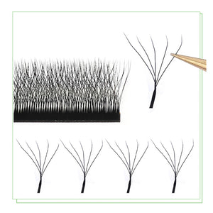 Maria Sasha 5DW M Curl Pre-Made Volume Eyelash Extensions