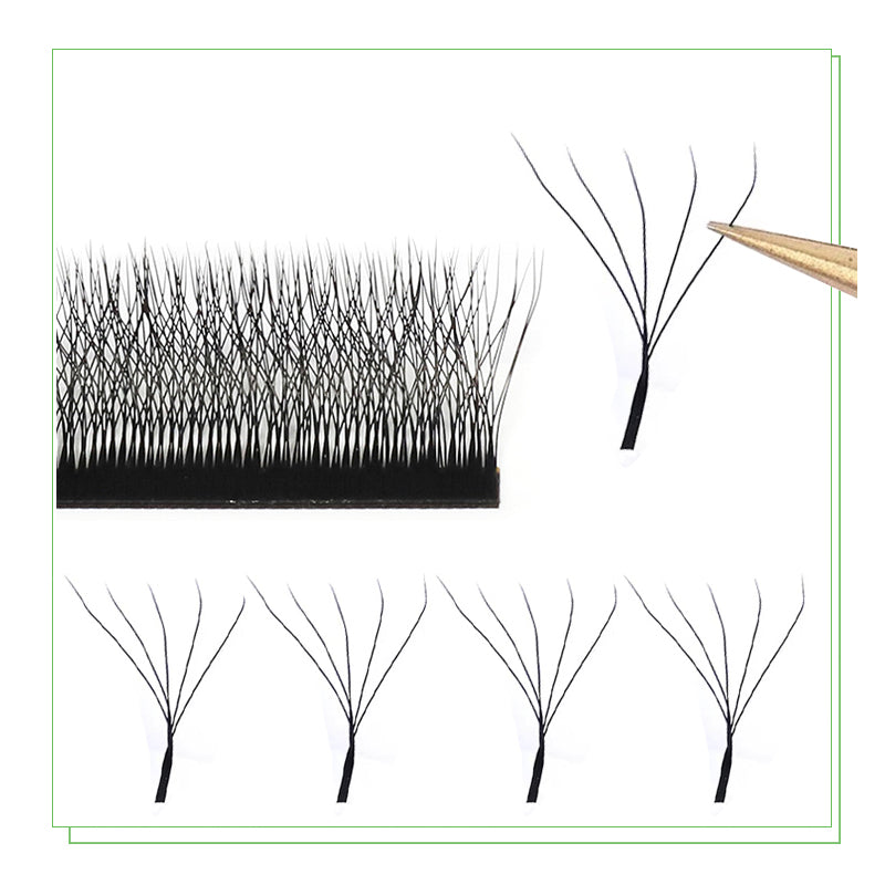 Maria Sasha 5DW M Curl Pre-Made Volume Eyelash Extensions