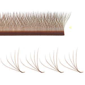 Maria Sasha 5DW M Curl Pre-Made Volume Eyelash Extensions